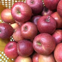 サンふじ 食べ切りサイズ ５kgのサムネイル