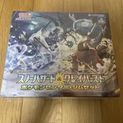 ポケモンカード　ジムセット　ナンジャモ　スノーハザード＆クレイバーストのサムネイル