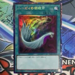 遊戯王 ハーピィの羽根帚 ハーピィの羽根箒 コレクターズレア RC03