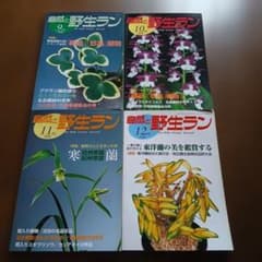 自然と野生ラン 2008年 9月号〜12月号 4冊セットのサムネイル