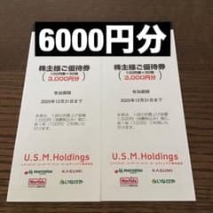 USMH 株主優待券 ユナイテッドスーパーマーケット 6000円分 ☆ 最新のサムネイル
