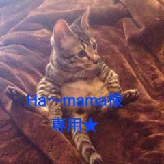 専用です★のサムネイル