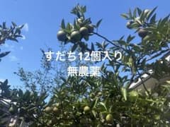 無農薬すだち　12個入りのサムネイル