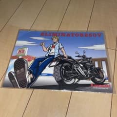 エリミネーター250V 販売カタログのサムネイル