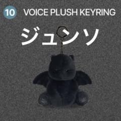 ALD1 ジュンソ POPUP VOICE PLUSH KEYRING 韓国のサムネイル
