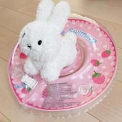 スイマーバ ピンクベリー いちご レギュラーサイズのサムネイル