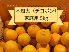 静岡県産 不知火（デコポン）5kg 家庭用・減農薬のサムネイル