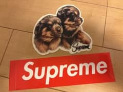 貴重　Supreme ボックスロゴ ロットワイラー ステッカー 2枚セット