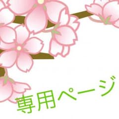 ※専用ページ※ [Sサイズ]太ヒール、太ストラップのサムネイル