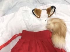 キツネ 巫女コスプレ衣装　4点セット Mサイズのサムネイル