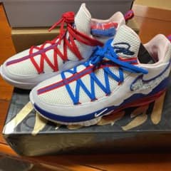 NIKE LEBRON 17 LOW  テューンスクワッド ナイキ 27.5のサムネイル