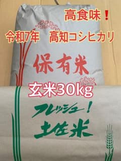高食味❗️令和7年 我が家低農薬栽培 高知コシヒカリ玄米20kg(10kgx2) 令和7年新米 高食味！ 我が家減農薬特別栽培 高知 コシヒカリ 玄米