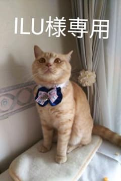 ●ILU様専用ですのサムネイル