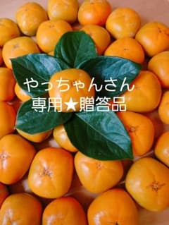 112 やっちゃんさん専用★贈答用　刀根早生 たねなし柿 和歌山県 紀の川市のサムネイル