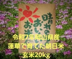 岡山県 令和7年 朝日米 玄米 20kg - メルカリ