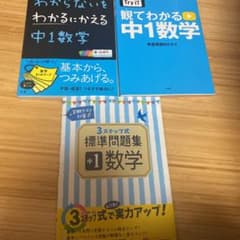 中1 数学　本のサムネイル