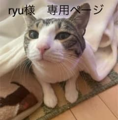 ryu様　専用ページのサムネイル