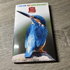 小学館の図鑑NEO POCKET 鳥のサムネイル
