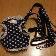 犬リードのサムネイル