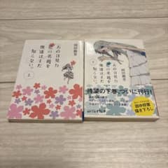 m96480170089_1.jpg?1729438376