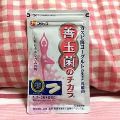 【新品】フジッコ 善玉菌のチカラ 31粒入のサムネイル