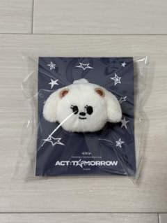 トゥバ TXT PPULBATU バムグッ ぬいぐるみ LGTWINS トゥバ TXT PPULBATU バムグッ ぬいぐるみ LGTWINS - メルカリ