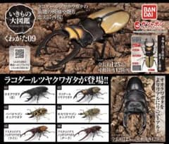 いきもの大図鑑　くわがた09 ラコダールツヤクワガタ　新品未開封品のサムネイル
