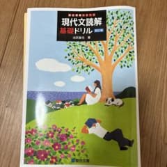 現代文読解基礎ドリル 改訂版 池尻俊也のサムネイル