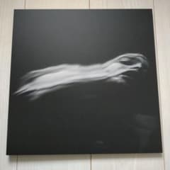 DIR EN GREY 落ちた事のある空 CD+Blu-ray 限定盤 - メルカリ