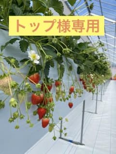 トップ様専用のサムネイル