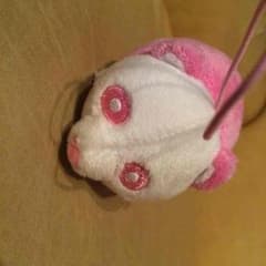 え〜パンダ つみっこピンクのサムネイル