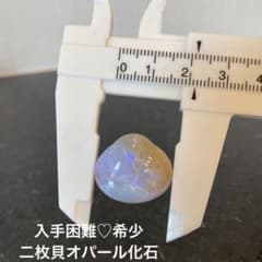m96515656397_1.jpg?1722667554