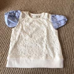 Tシャツのサムネイル