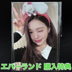 IVE エバーランド 購入特典 トレカ ウォニョン - メルカリ