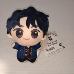 BTS TinyTAN DNA 치비구루미 vol.1 JIN