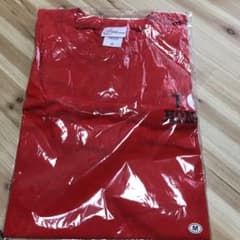 チームしゃちほこ　Tシャツのサムネイル