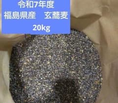令和7年度　福島県産　玄蕎麦　20kg① 令和7年度 福島県産 玄蕎麦 20kg① - メルカリ