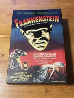【アメリカ購入】未開封✨ FRANKENSTEIN アクションフィギュアのサムネイル