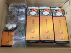 豊潤サジー 3本入り+ミニサイズのサムネイル
