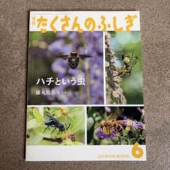 たくさんのふしぎ ハチという虫 - メルカリ