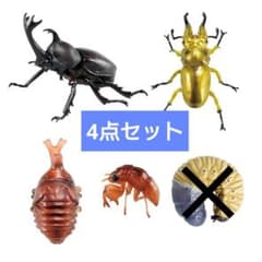 곤충 피규어 이치 반 쿠지 / 세계 곤충 박물관 / H 상 4 점 세트