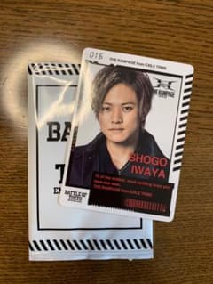 BOTカード岩谷翔吾のサムネイル