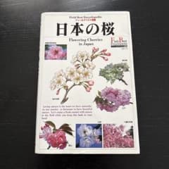 日本の桜 Flowering Cherries in Japanのサムネイル