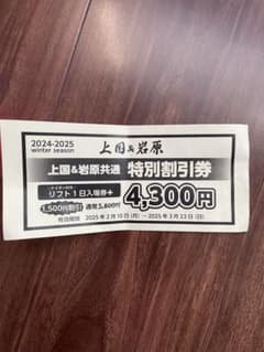 上越国際スキー場 岩原スキー場リフト 割引券 4300円のサムネイル