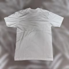 Hanes Tシャツ Sサイズ ヘインズヘンリーネックTシャツ 袋付きのサムネイル