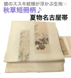【美品】短冊柄2way正絹名古屋帯♪生成り色に銀芒模様の夏帯・秋草花・枝花文様のサムネイル