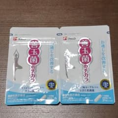 善玉菌のチカラ 31粒✖️2袋のサムネイル