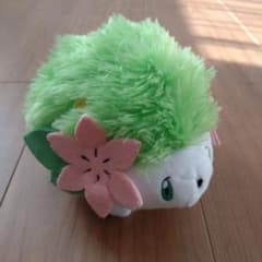ポケモンセンター購入　シェイミ　ぬいぐるみ