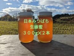 日本みつばち　生蜂蜜　非加熱　国産純粋　日本蜜蜂蜂蜜　#2のサムネイル
