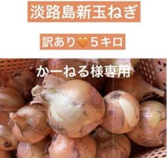 かーねる様★淡路島新玉ねぎ★最後の人気品種★５キロ★訳あり★フレッシュ★甘いのサムネイル